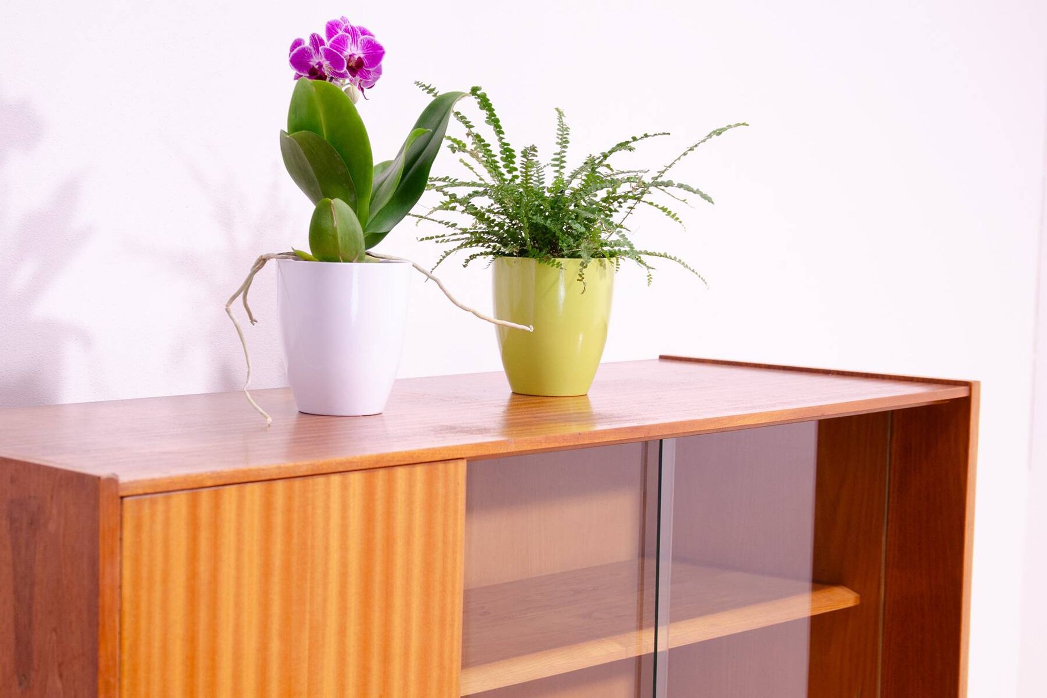 Midcentury glazed bookcase by František Mezulánik for UP Závody, 1960s