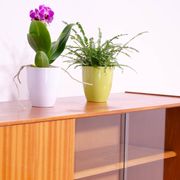 Midcentury glazed bookcase by František Mezulánik for UP Závody, 1960s