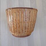 Rattan plant pot