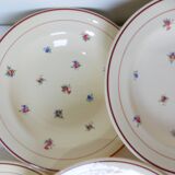 Set of 6 vintage porcelain soup plates from Salins 2103127