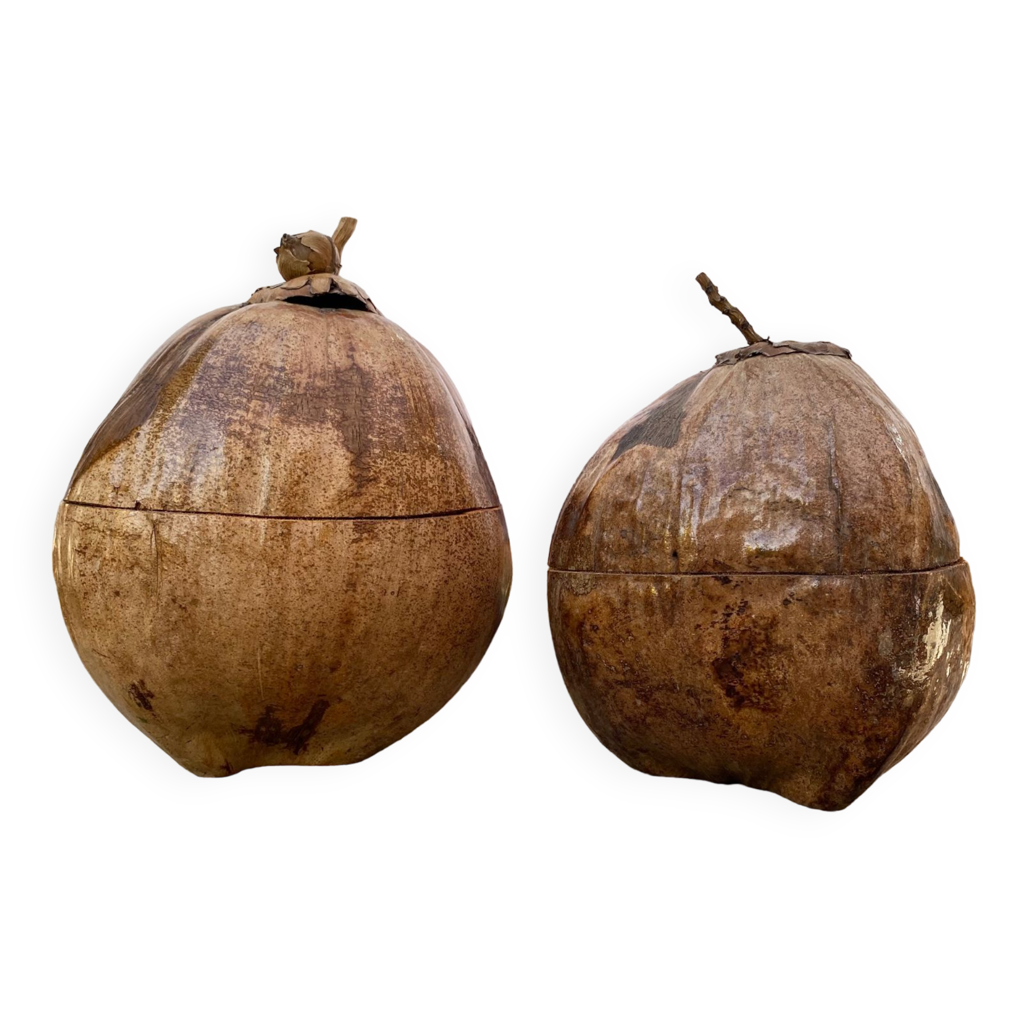 Pair of coconut ice buckets