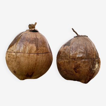 Paire de seaux à glaçons noix de coco
