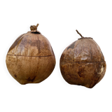 Pair of coconut ice buckets