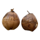Pair of coconut ice buckets