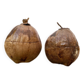 Paire de seaux à glaçons noix de coco