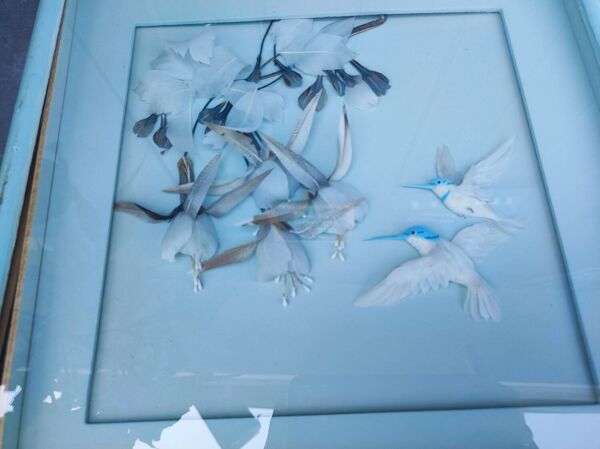 Deux tableaux vintage réalisés avec des plumes, motif colibri