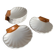 6 shell-shaped bowls