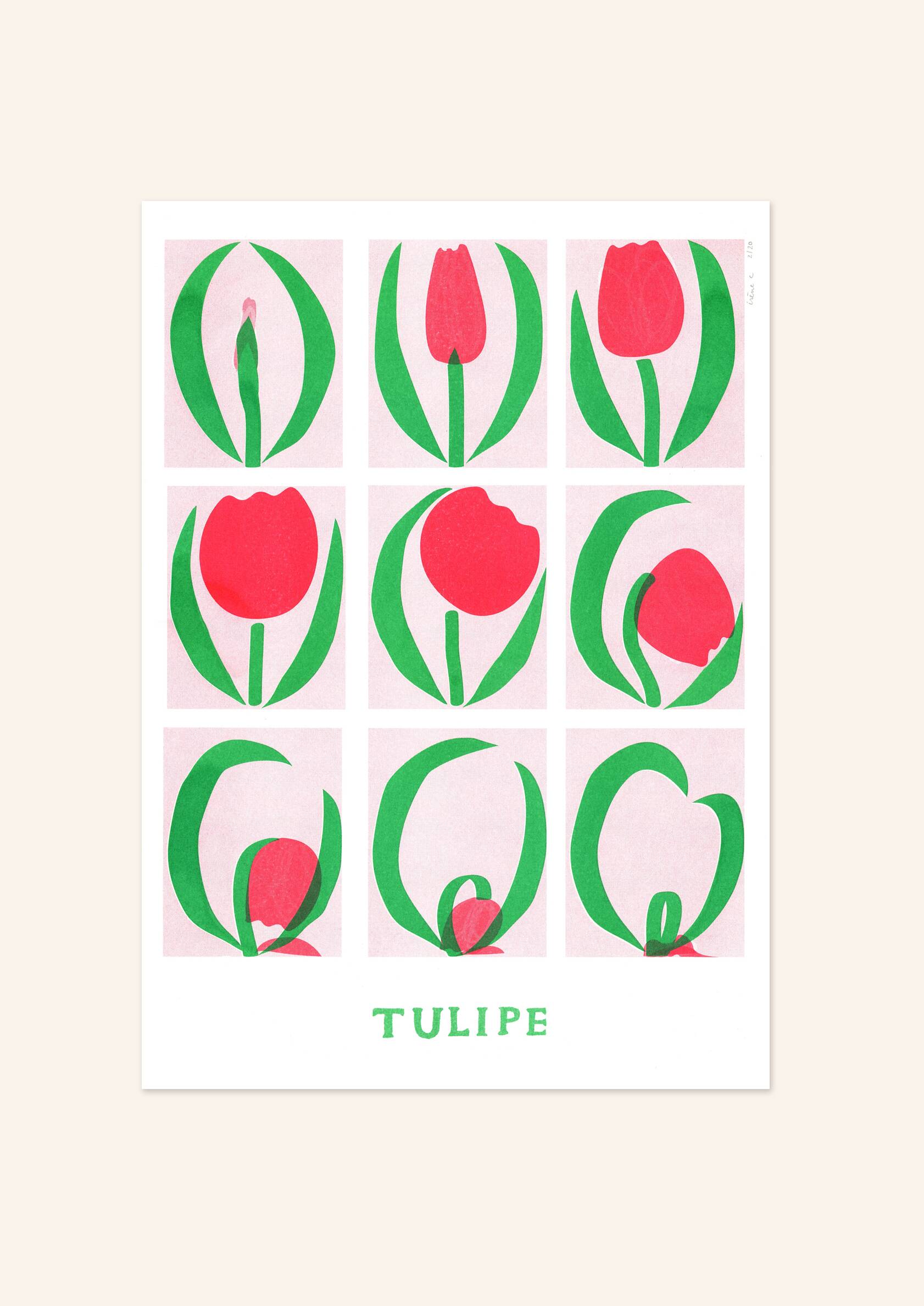Poster, Tulip