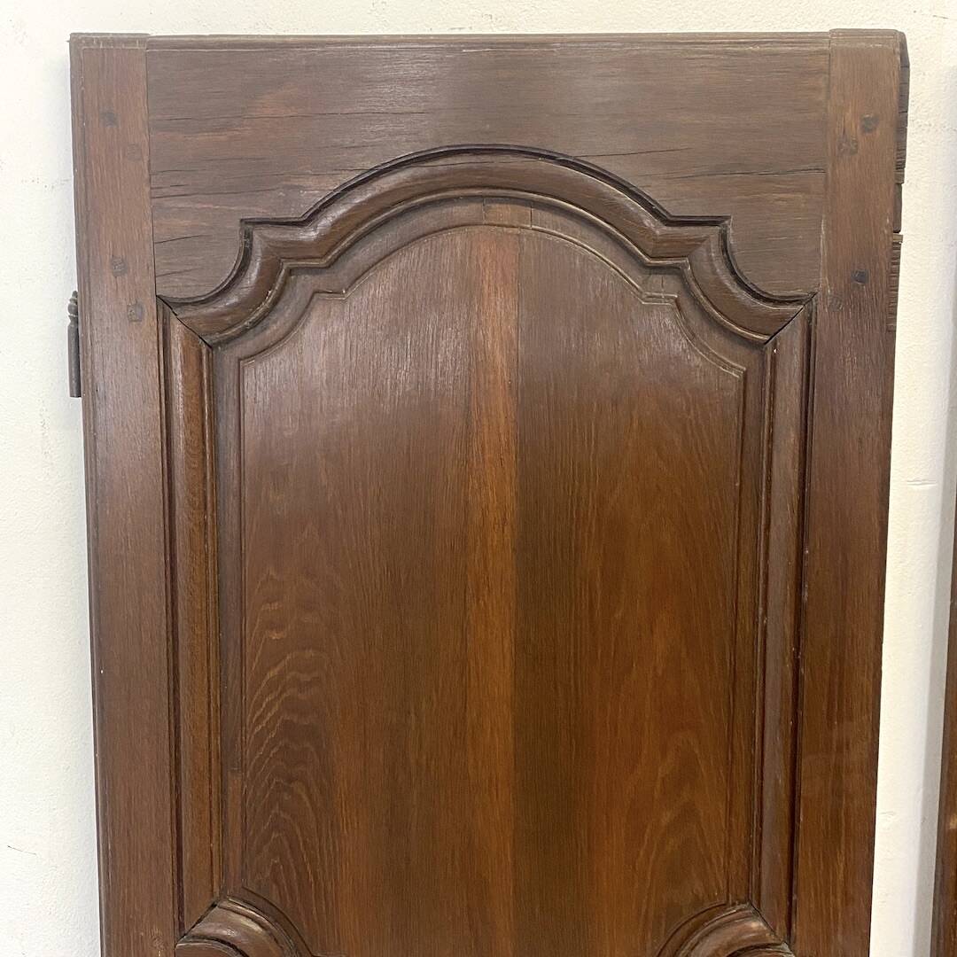Pair of 19th century oak cabinet doors