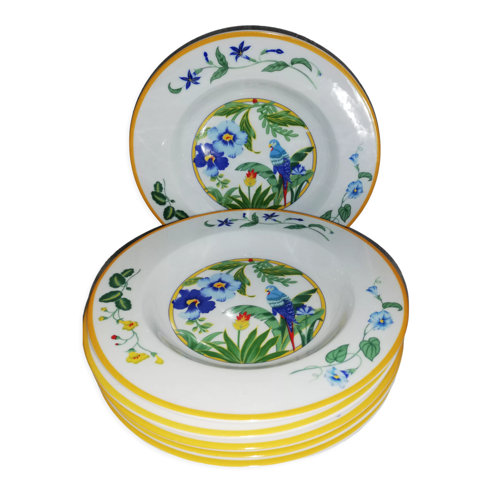 Set of 6 hollow plates model Ara