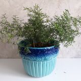 Art Deco Orchies splash pot cover