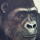 Wall poster of the school from Jung-Koch-Quentell "gorilla" 1968