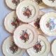 Assiettes plates Digoin Sarreguemines Modèle Loraine