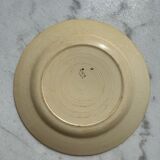 7 gien plates