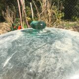 Cloche de jardin en verre soufflé IXX s