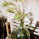 Demijohn 15 litres