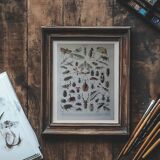 Page 1 of 12 Original lithograph on insects