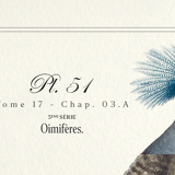 Chimera lithograph engraving animal - the marmoset