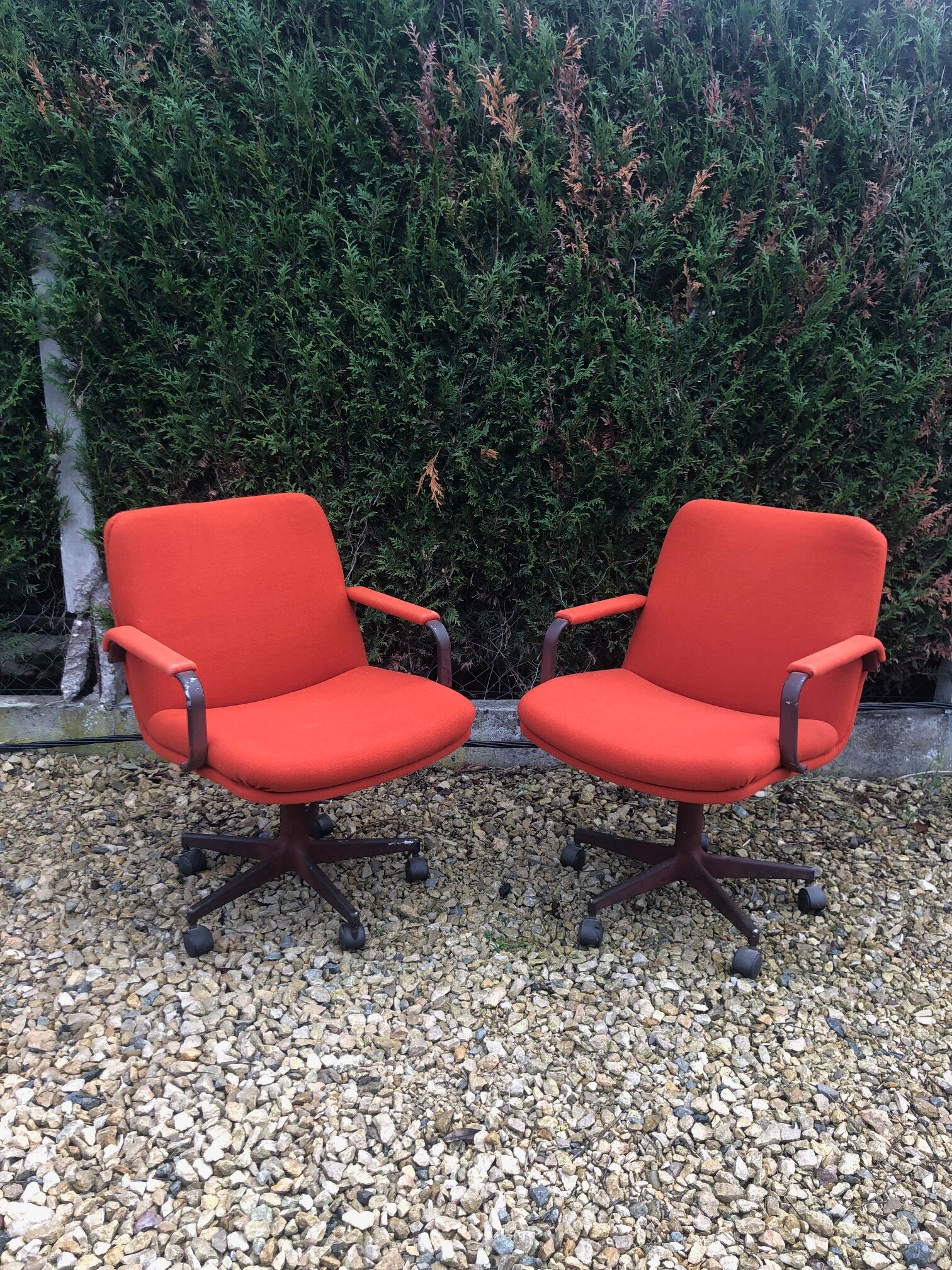 Pair of armchairs by Harcourt Geoffrey for Artifort