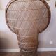 Fauteuil Emmanuelle peacock