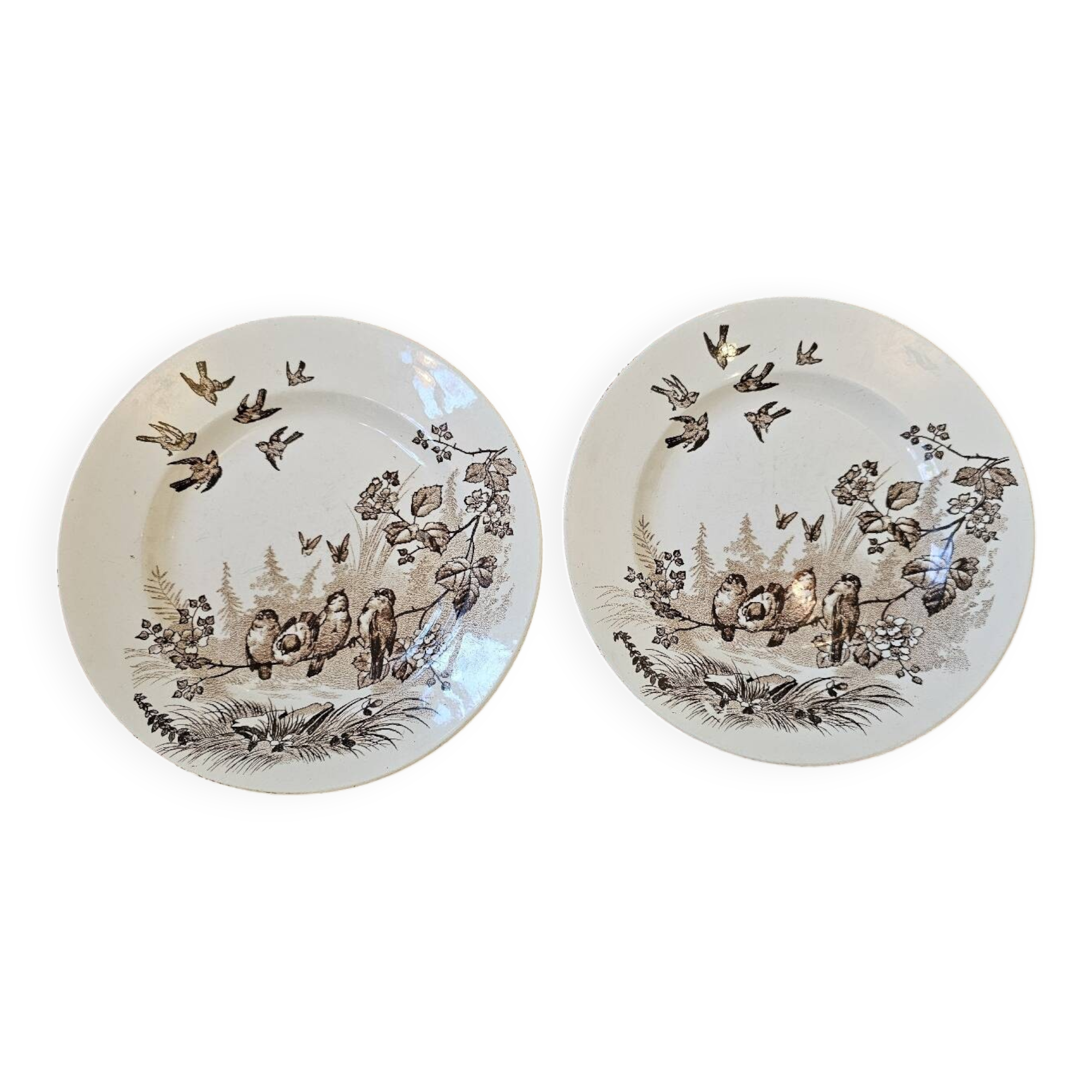 2 small ironstone plates