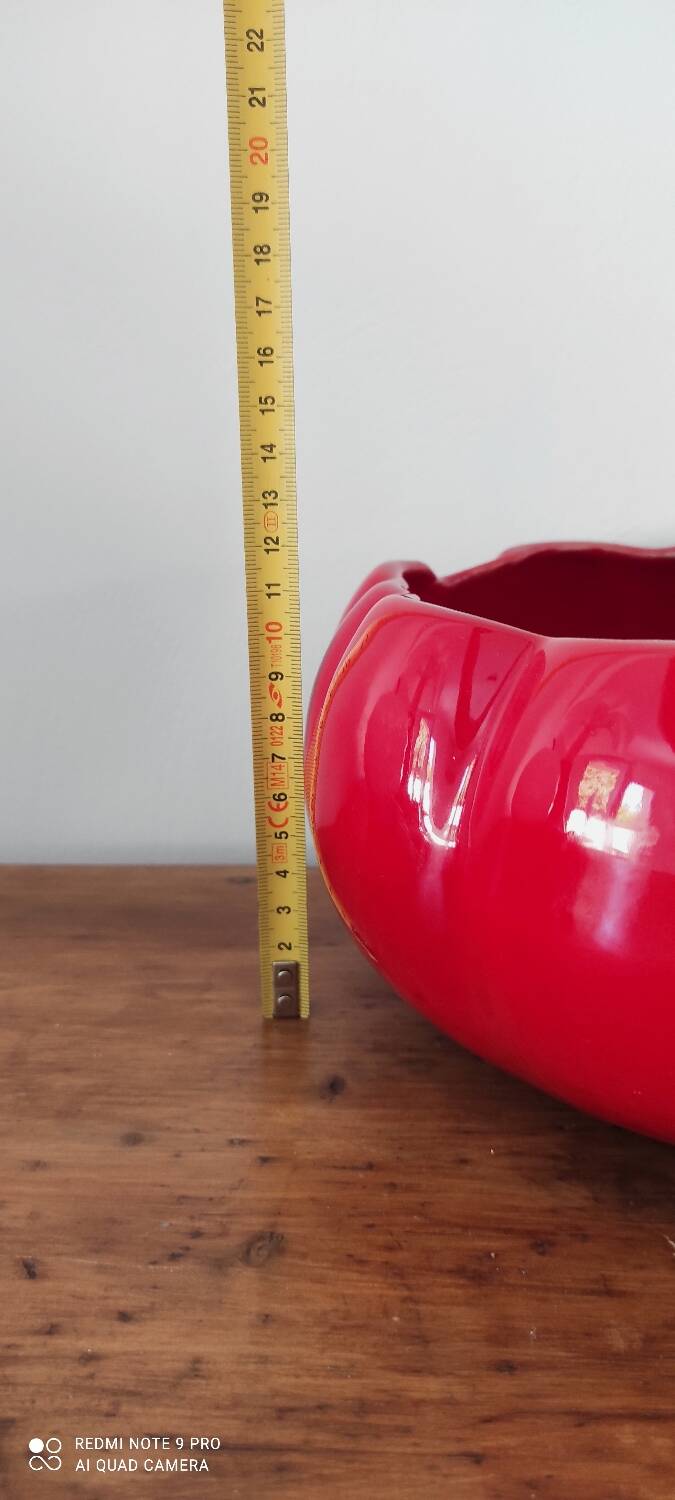 Tomato barbotine salad bowl