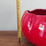 Tomato barbotine salad bowl