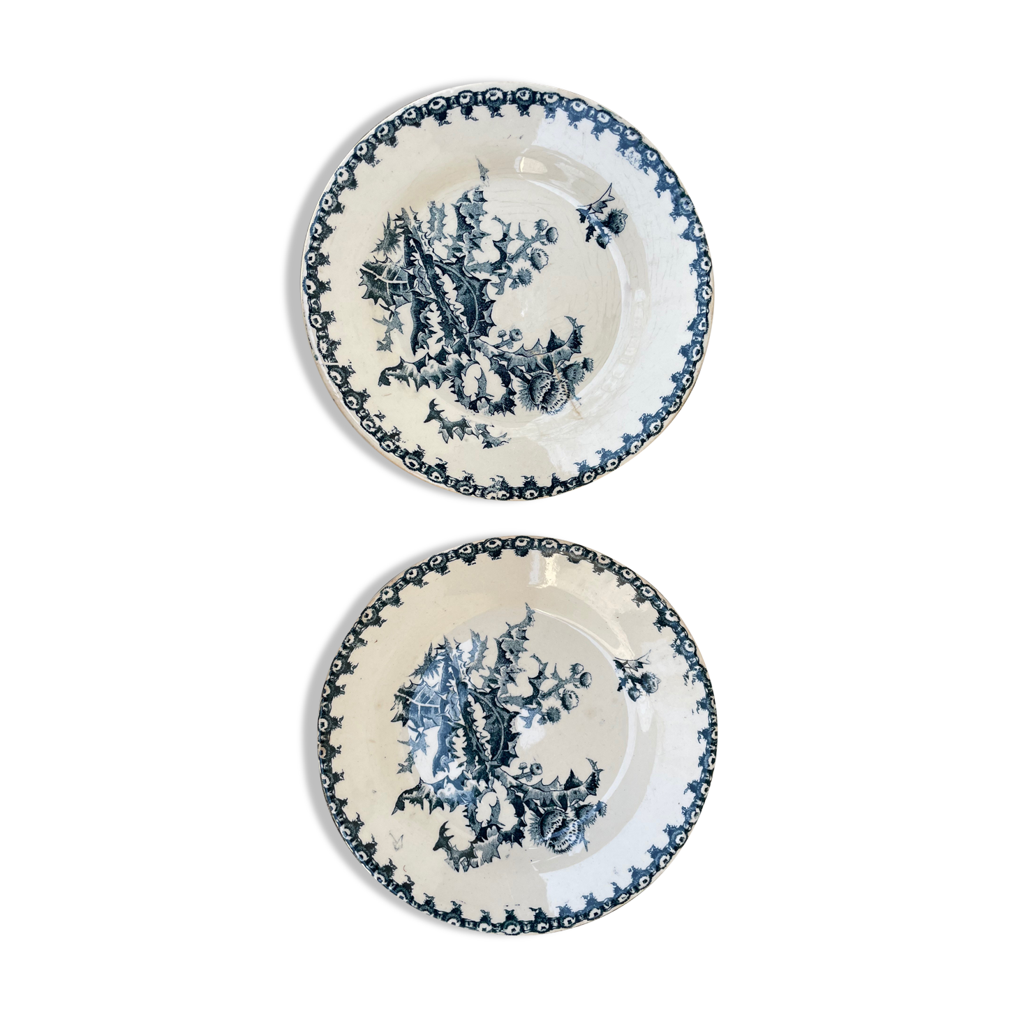 Set of 2 plates white blue with thistle pattern porcelain opaque thistles Gien