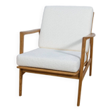 Model 300-139 Armchair from Swarzędz Factory, 1960s