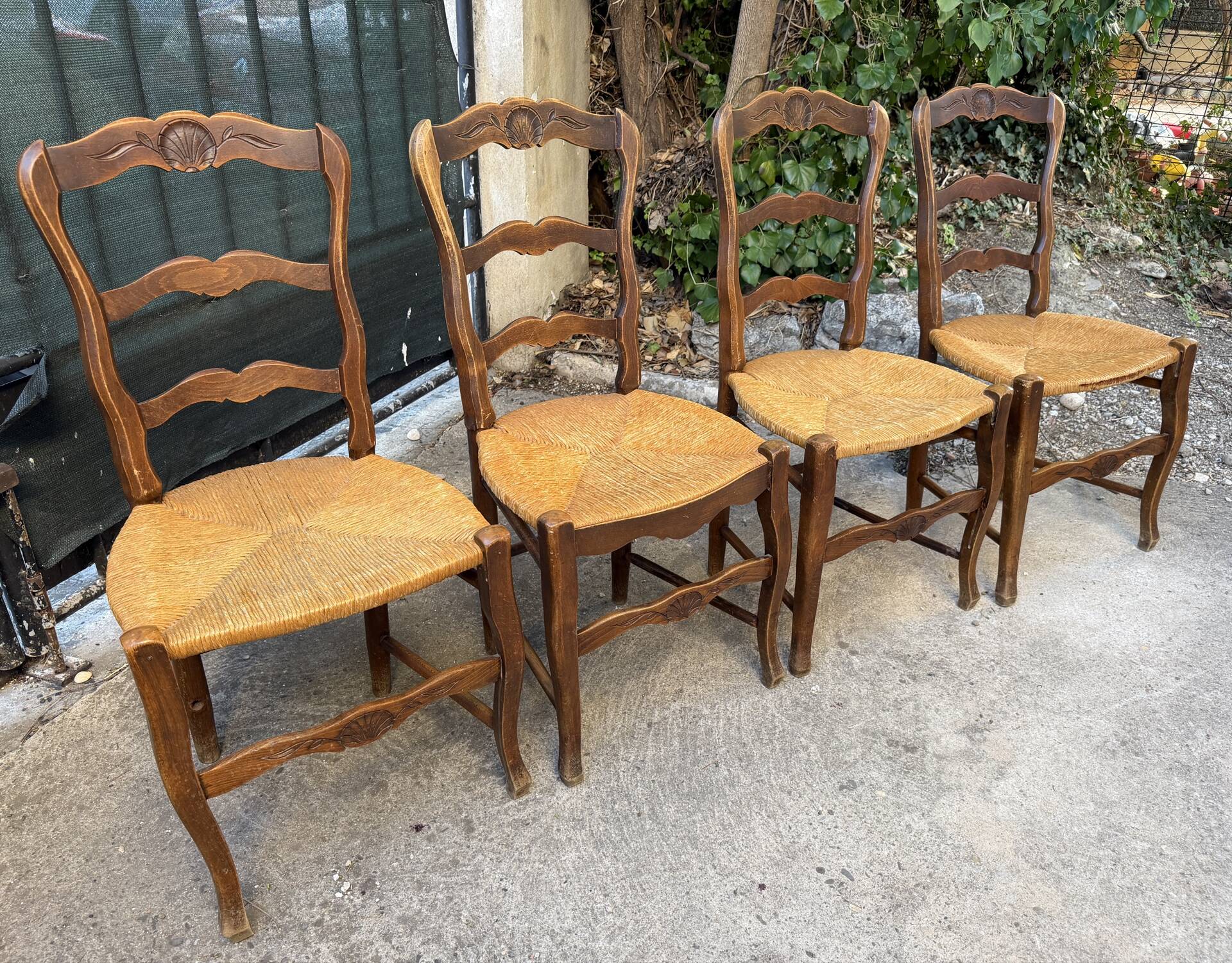 Set of 4 Provençal oak chairs with rush seats.
