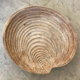 Large shell dish