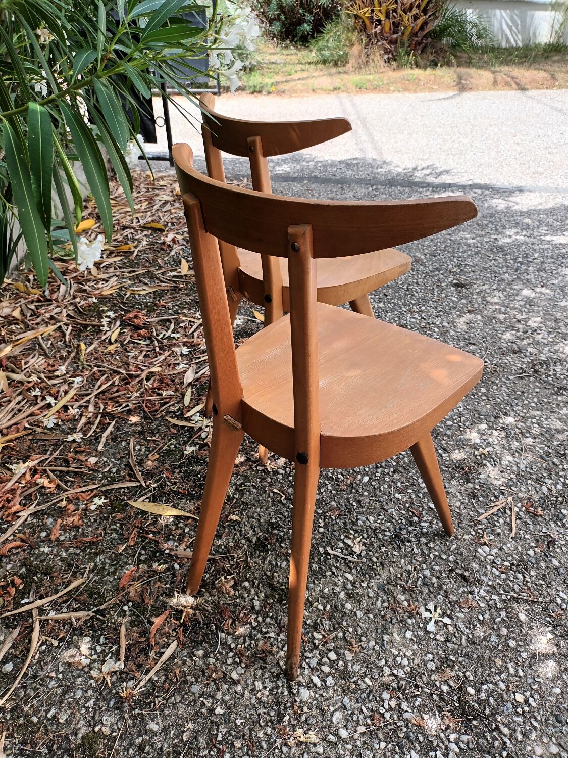 Antelope Chairs Stella Luterma