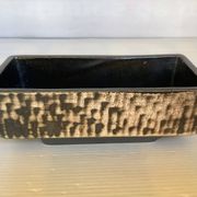 Small cactus planter Aldi Reuver Holland