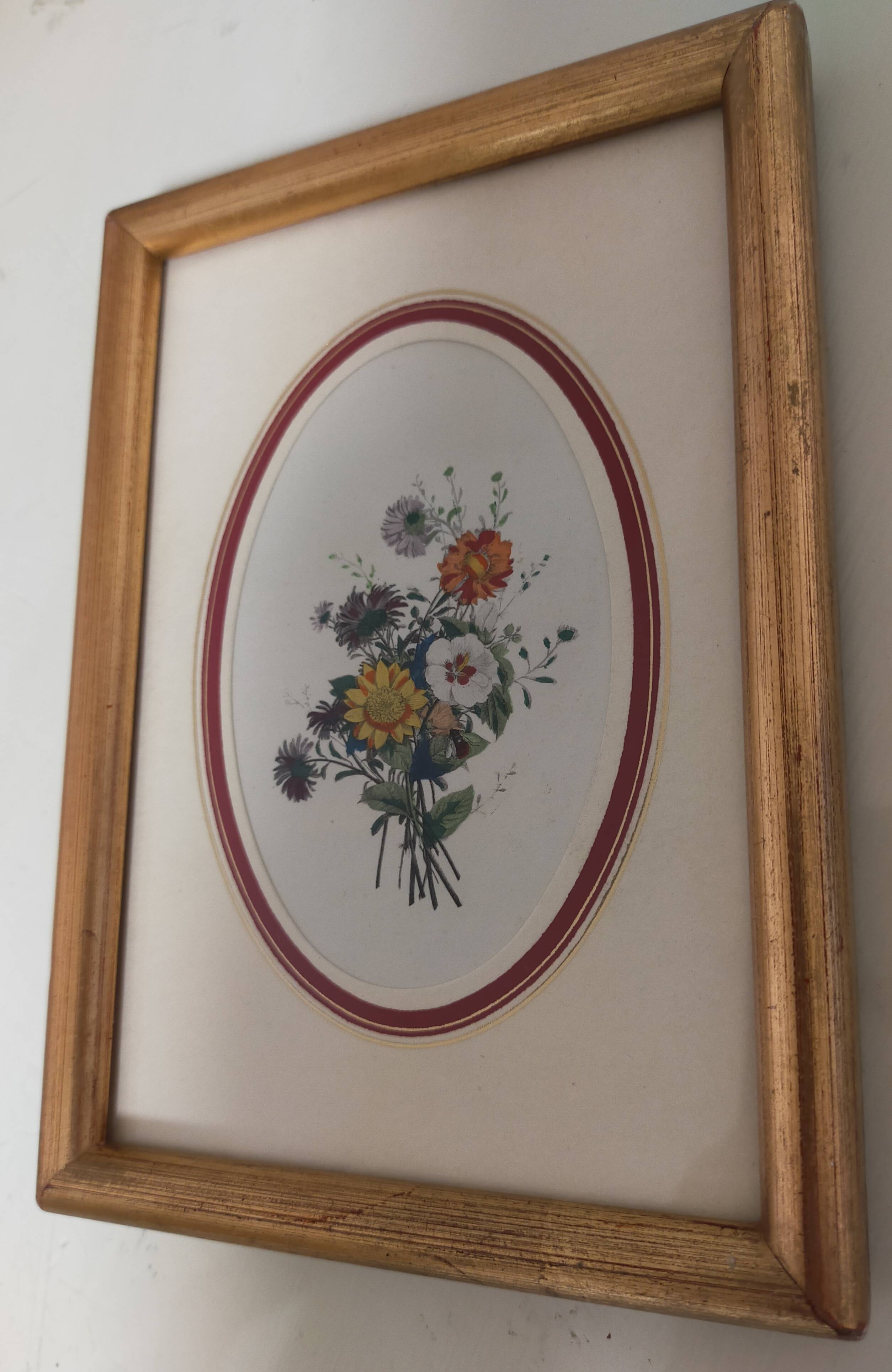 Framed antique botanical engraving with gilded wall frame