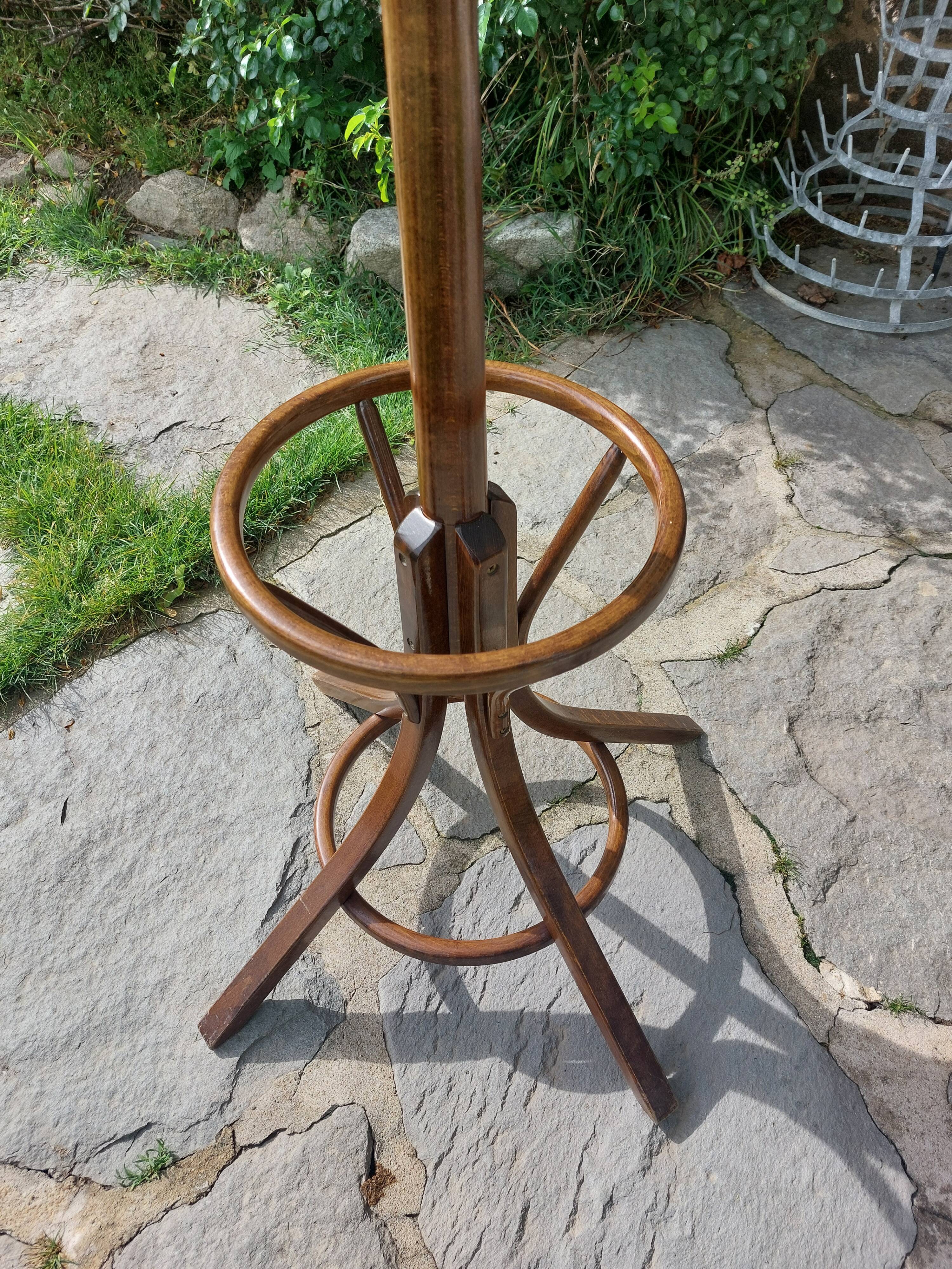 dark-coloured wooden coat rack parrot