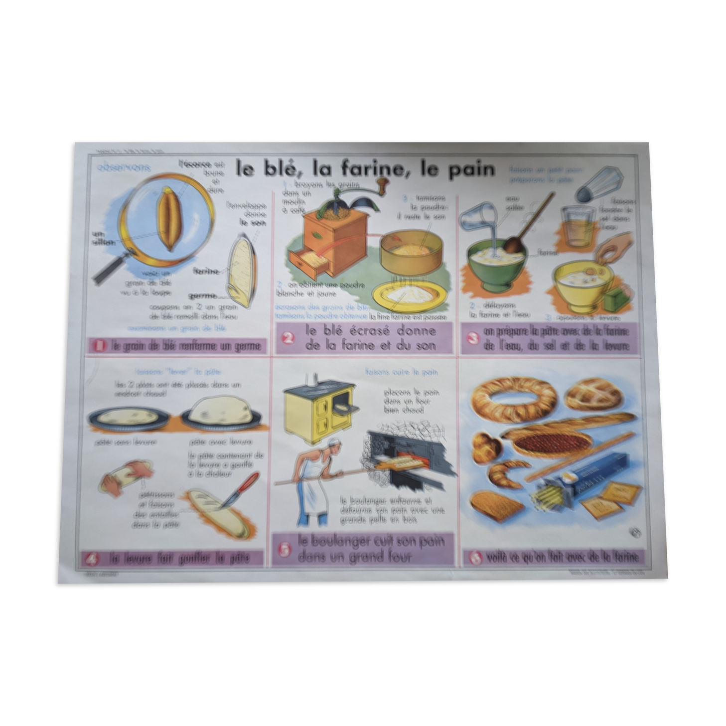 Old vintage school poster wheat flour bakery bread salt