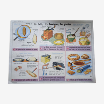 Affiche scolaire vintage blé farine boulangerie pain sel