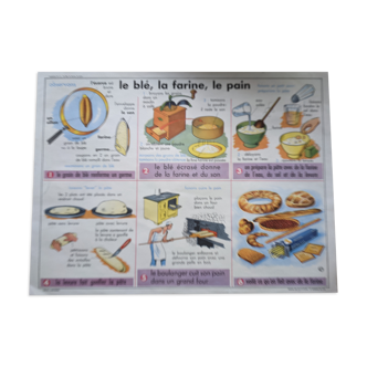 Affiche scolaire vintage blé farine boulangerie pain sel