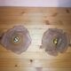 Pair of brass and glass flowers sconces
