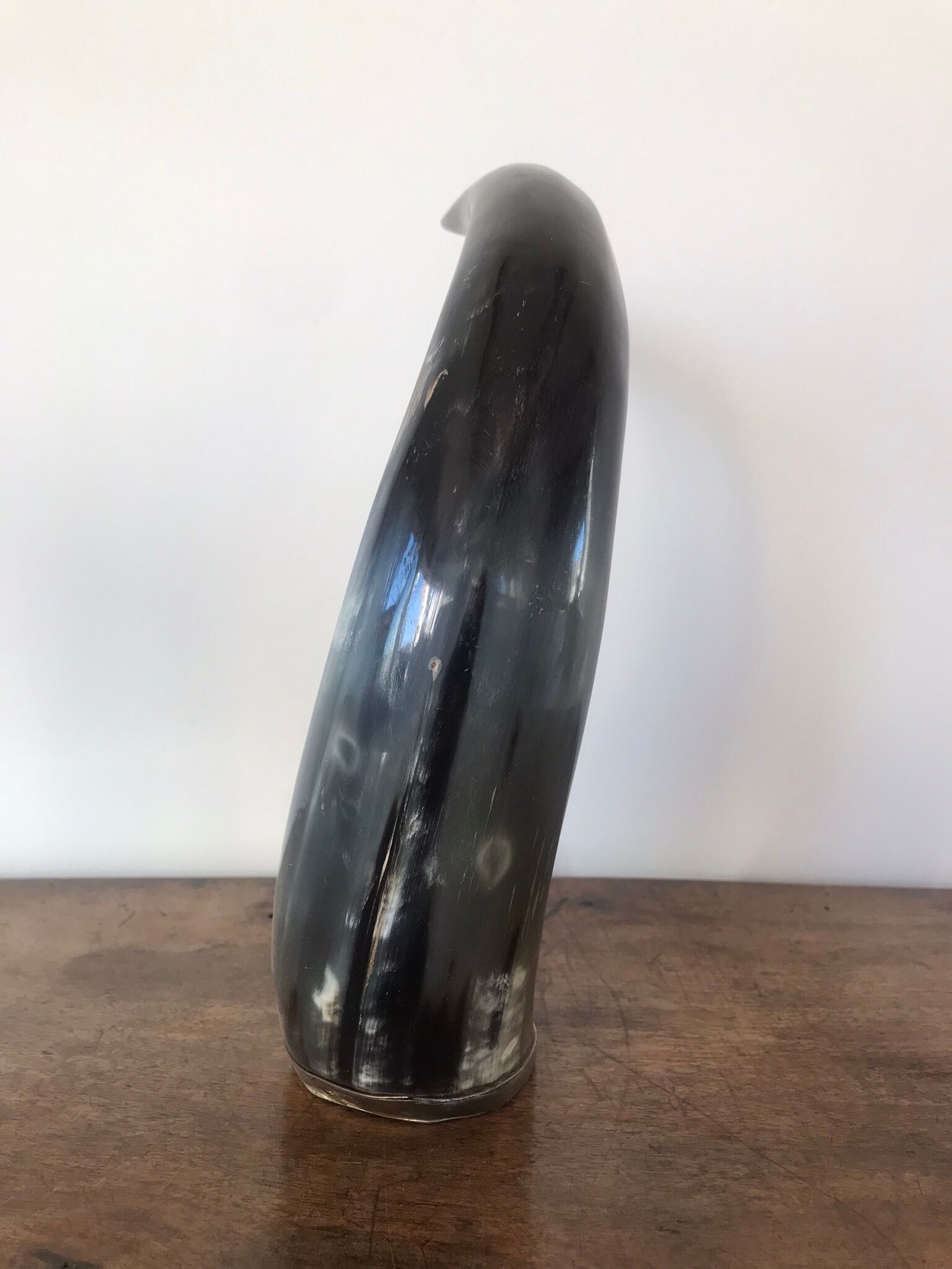 Polished beef horn on brass base