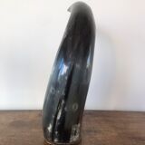 Polished beef horn on brass base
