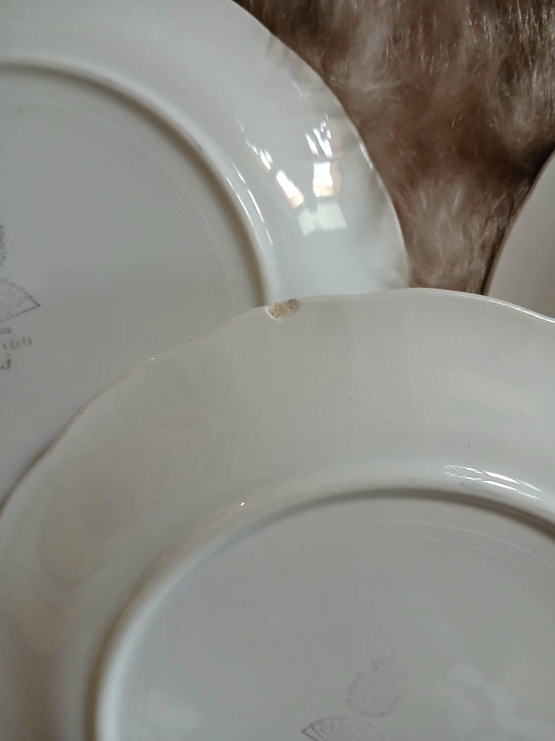 6 antique dessert plates from Digoin and Sarreguemines