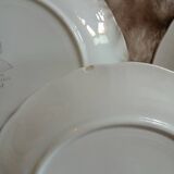 6 antique dessert plates from Digoin and Sarreguemines