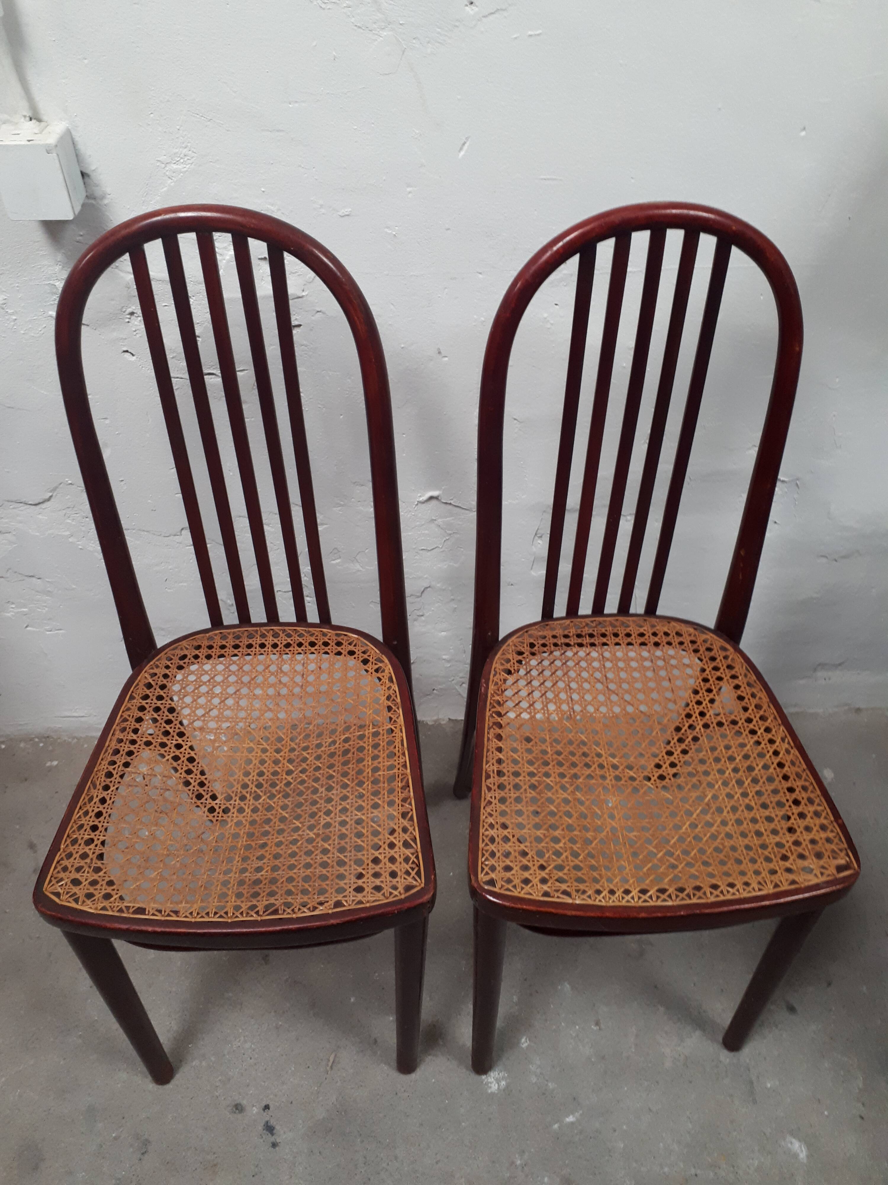 Pair of chair Thonet, 1900