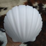 Suite de quatre appliques coquillage Limburg