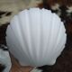 Suite of four Limburg shell sconces