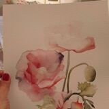 Fine art print 21X30 "The poppies" limited edition