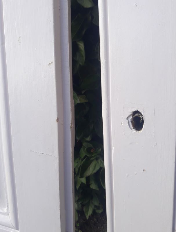 Pair of doors 229,5x110cm closet