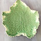 Cabbage leaf dish