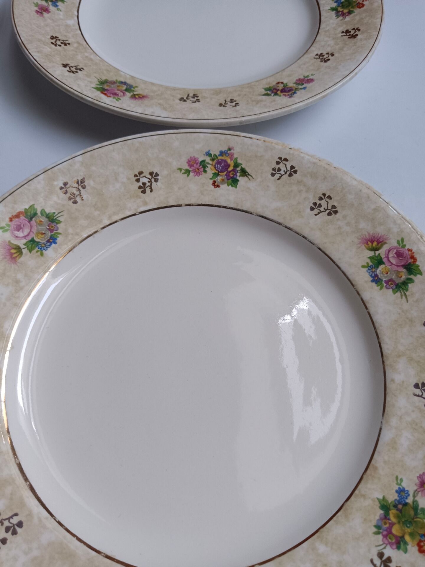 Set of 6 flat plates Salins model Simone beige with flowers.